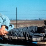 Paul Newman in Cool Hand Luke (Courtesy Warner Bros)