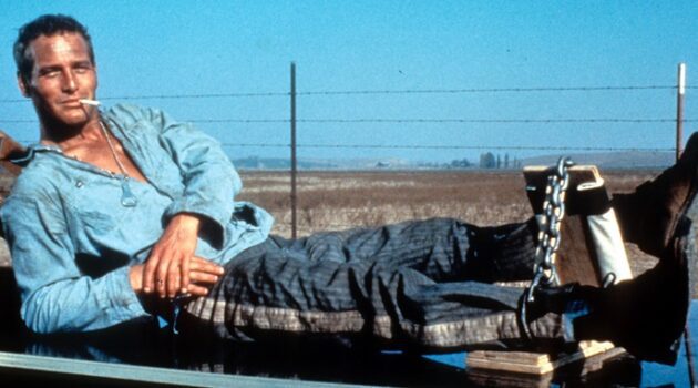 Paul Newman in Cool Hand Luke (Courtesy Warner Bros)